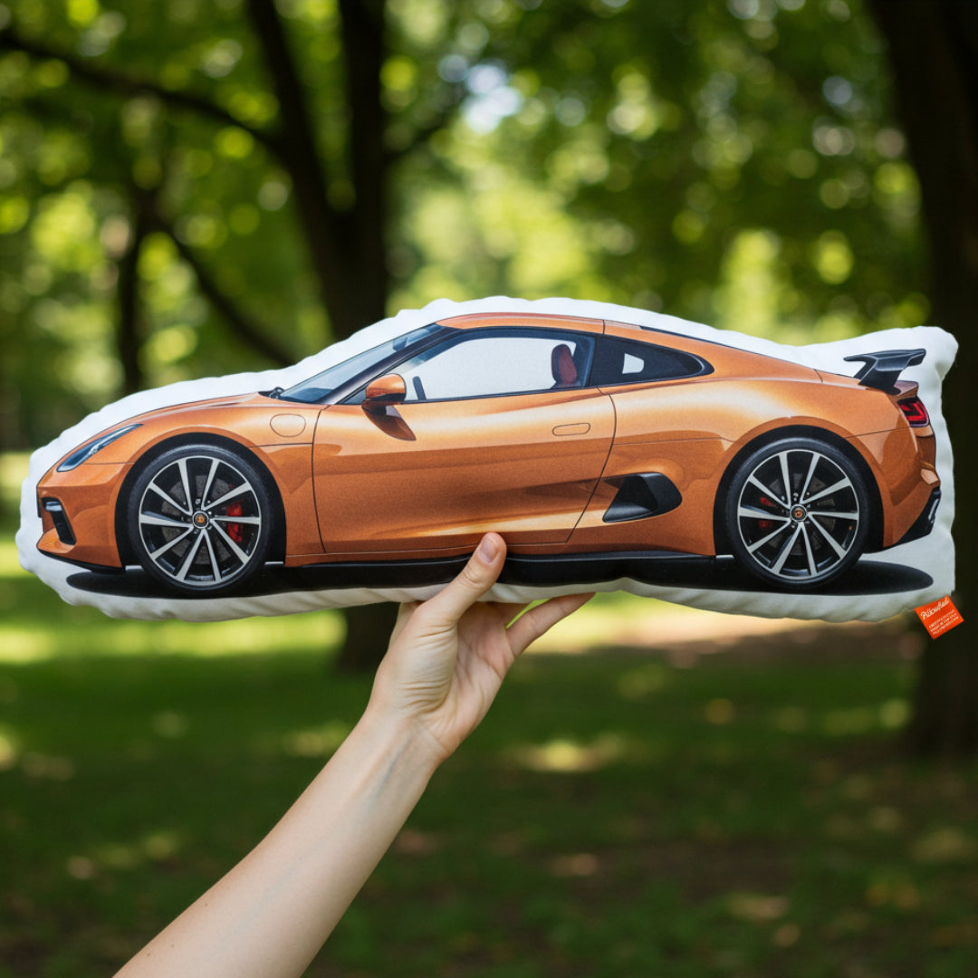 Custom Car-Shaped Pillow