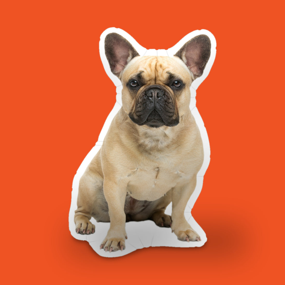 Custom Shaped Pet Pillow