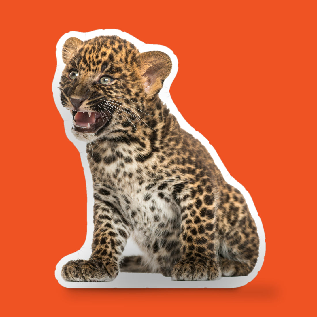 Custom Shaped Pet Pillow