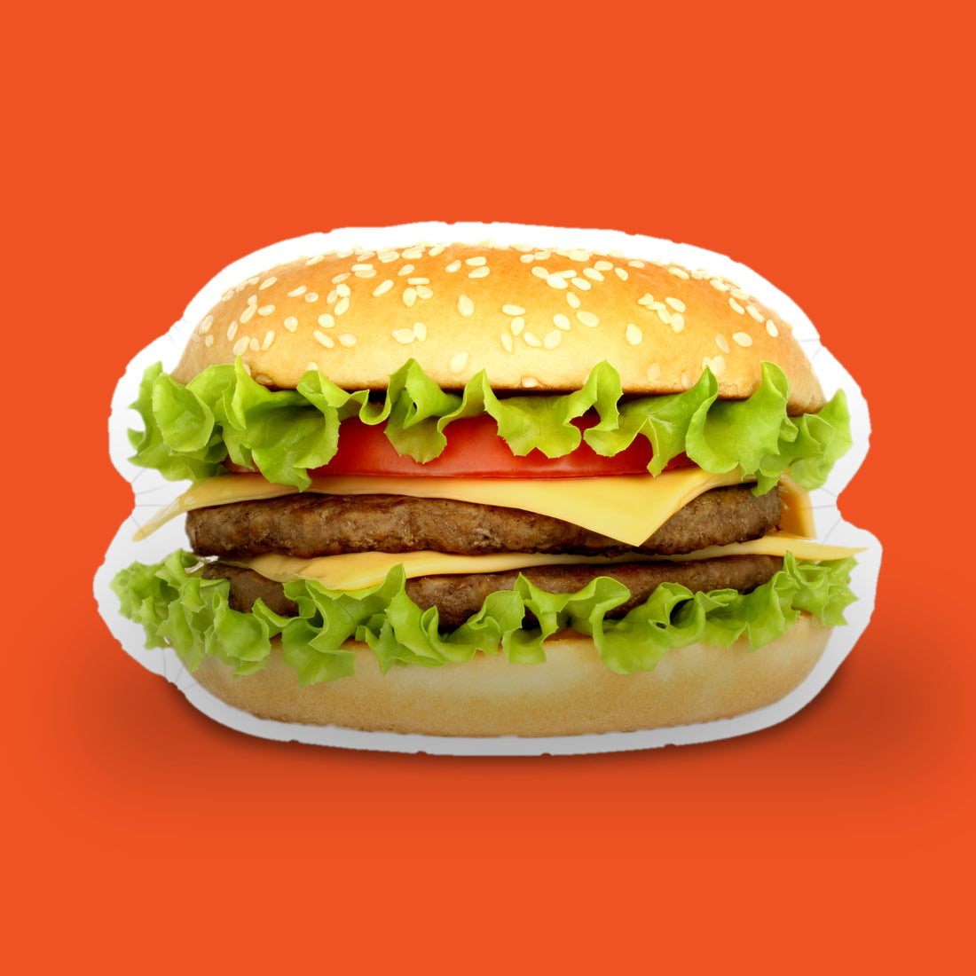 Custom Shaped Food Pillow