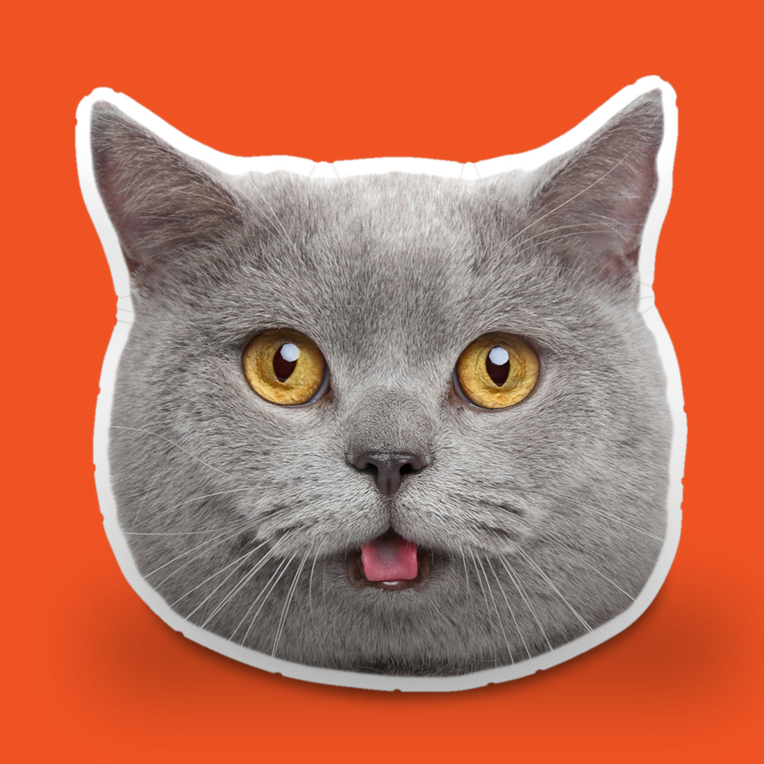 Custom Shaped Pet Pillow